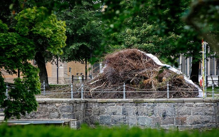 Professionella bilder till hemsida och app 2026 - En tillfällig yta mellan ett skogsbryn och m...jpg