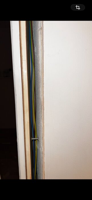 IMG_2959.png