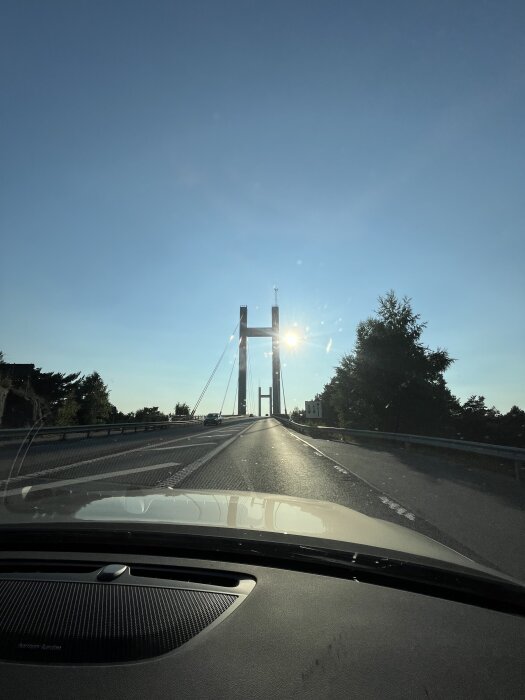 IMG_9917.jpeg