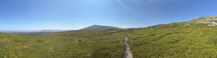 IMG_1470.jpeg