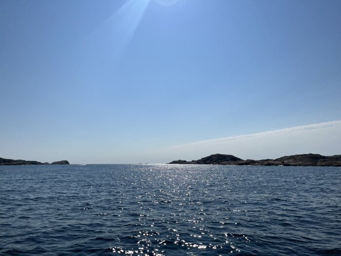 IMG_9960.jpeg
