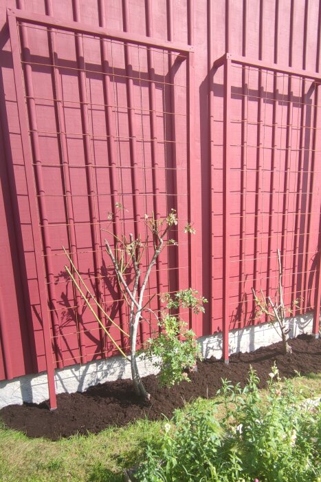 IMG_20260715_154907.jpg