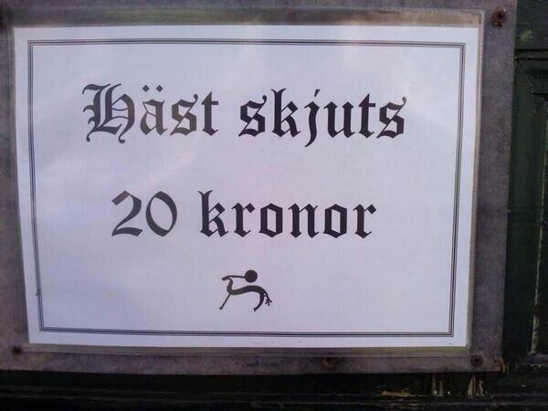 hc3a4st-skjuts.jpg