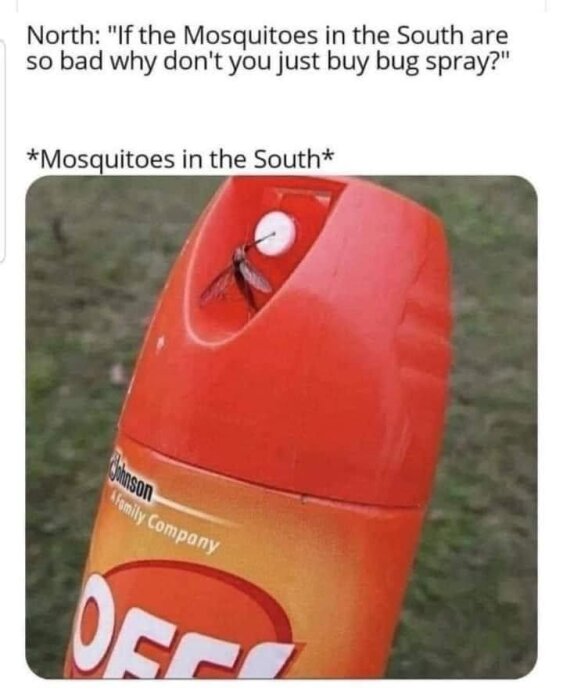 BugSpray.jpg