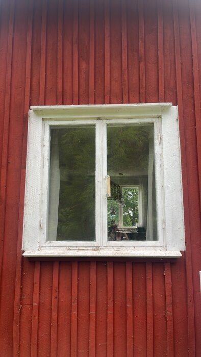 IMG_3590.jpeg