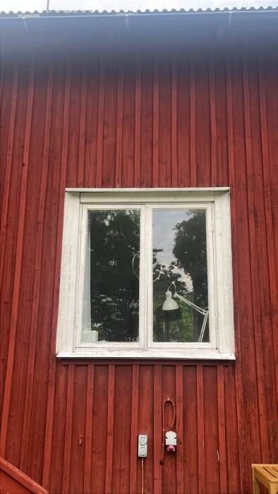 IMG_3586.jpeg