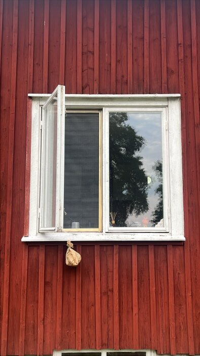 IMG_3585.jpeg