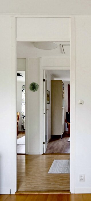 IMG_3807.jpeg