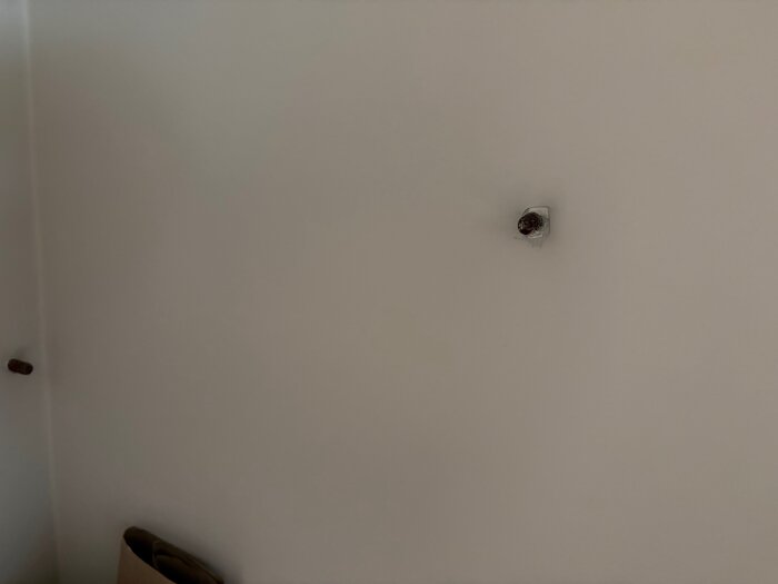 IMG_7880.jpeg
