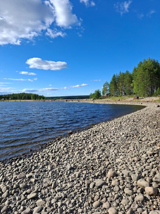 20260719_172744.jpg