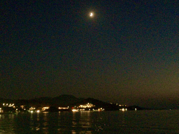 IMG_6597.jpeg