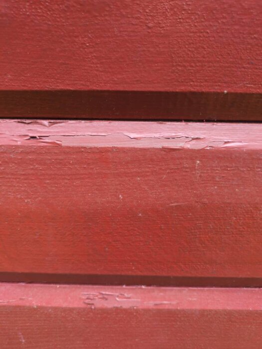 Image_16.jpg.jpg