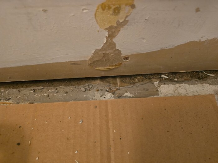 image-1784463342490.jpg