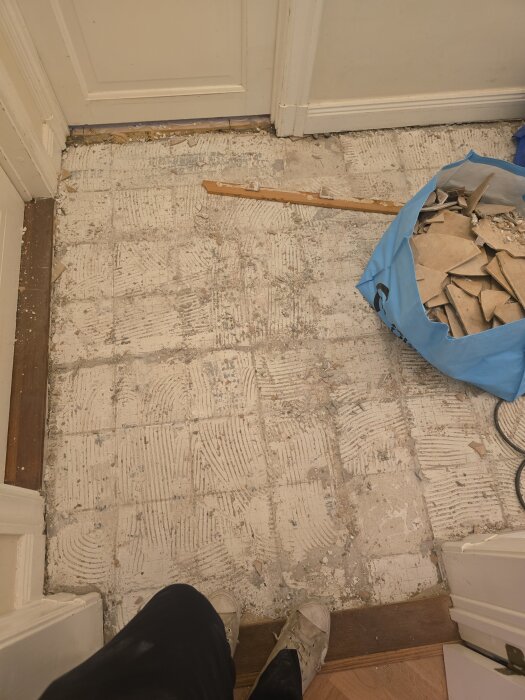 image-1784384597695.jpg