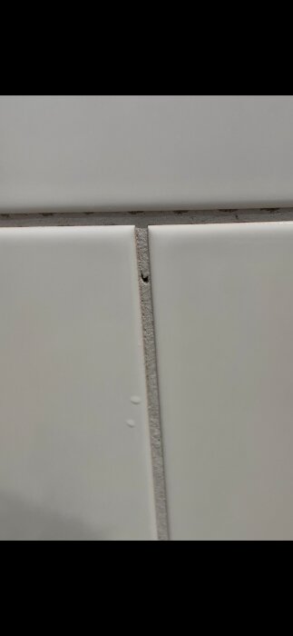 IMG_0756.png