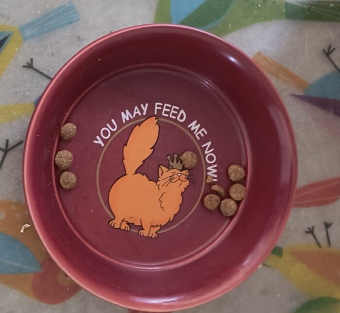 Kattmatskål med texten "You may feed me now" och få kattmatbitar kvar.