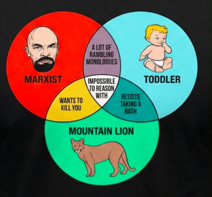VENN.jpg