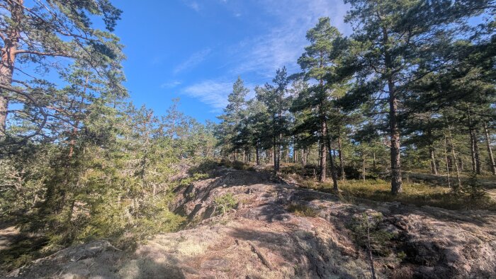 PXL_20260721_071924824.jpg