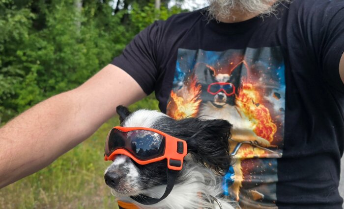 En liten hund med solglasögon åker moped med en person som bär en t-shirt med en liknande hundbild.