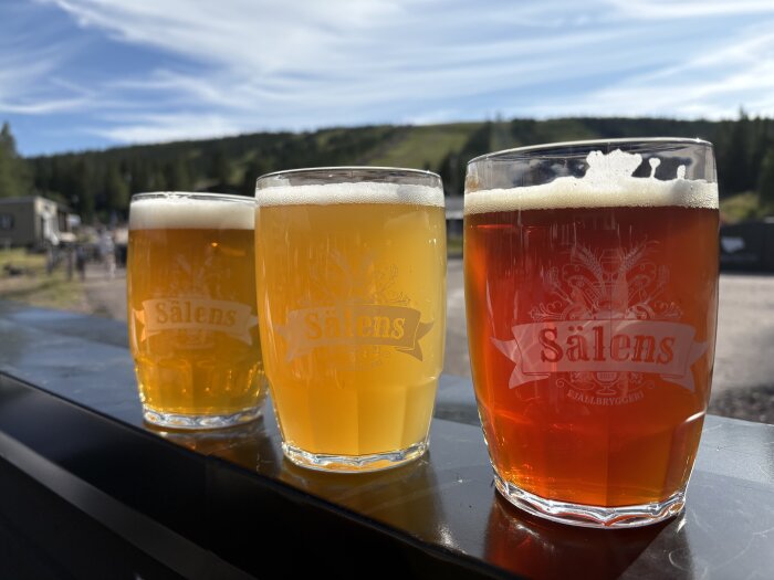 Tre ölglas med olika ölsorter från Sälen Fjällbryggeri mot en bakgrund av ett naturskönt landskap.