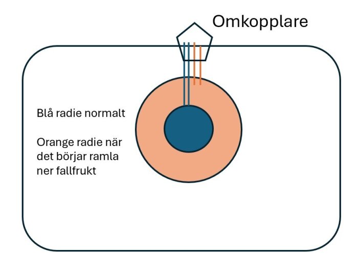 äpple.jpg