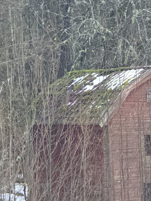 20260301_162130.jpg