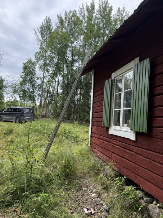 IMG_0462.jpeg