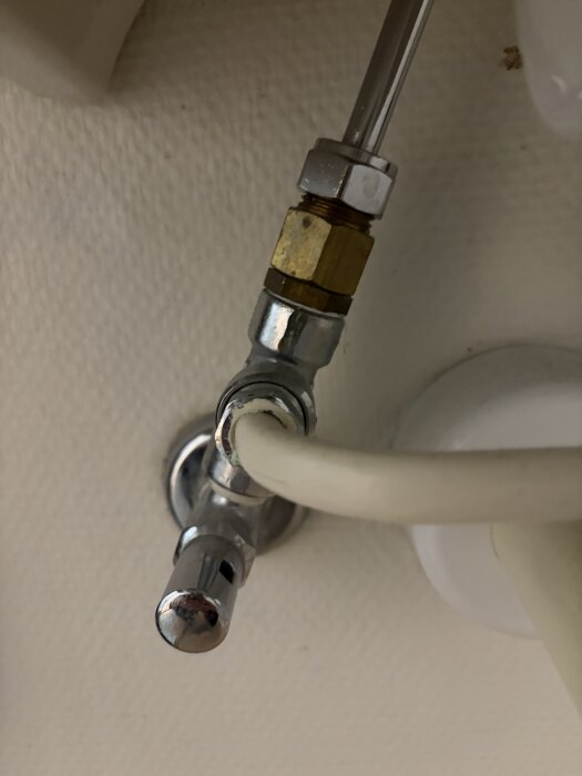IMG_6027.jpeg