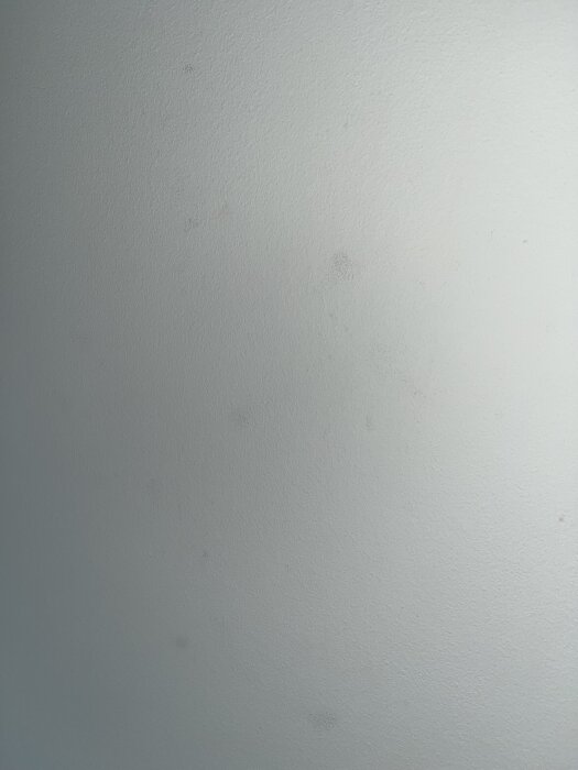 IMG_1610.jpeg