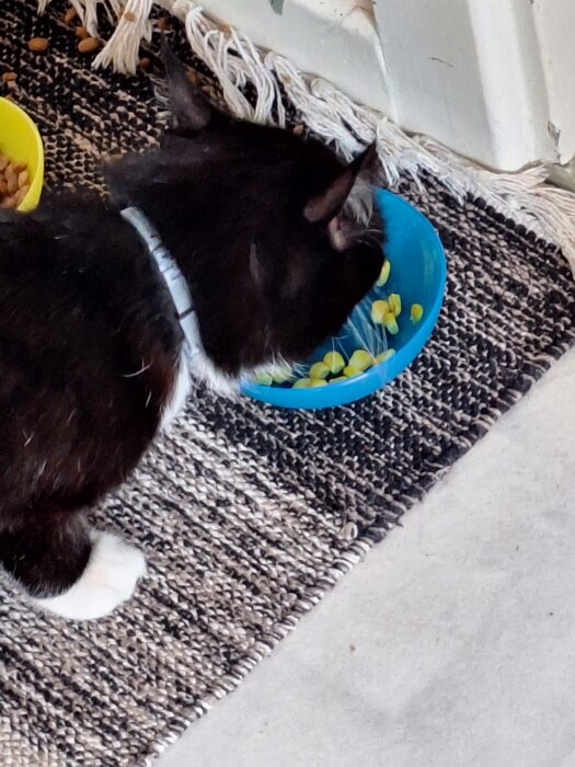 20260723_152501.jpg