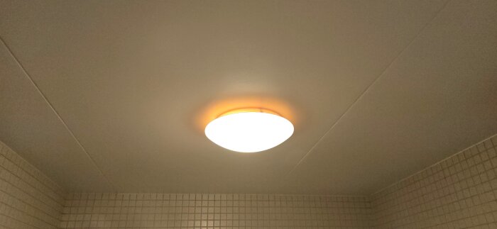 20260723_090200.jpg