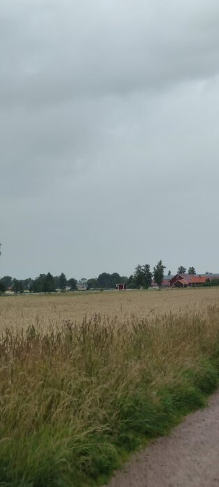IMG_20260725_151731.jpg