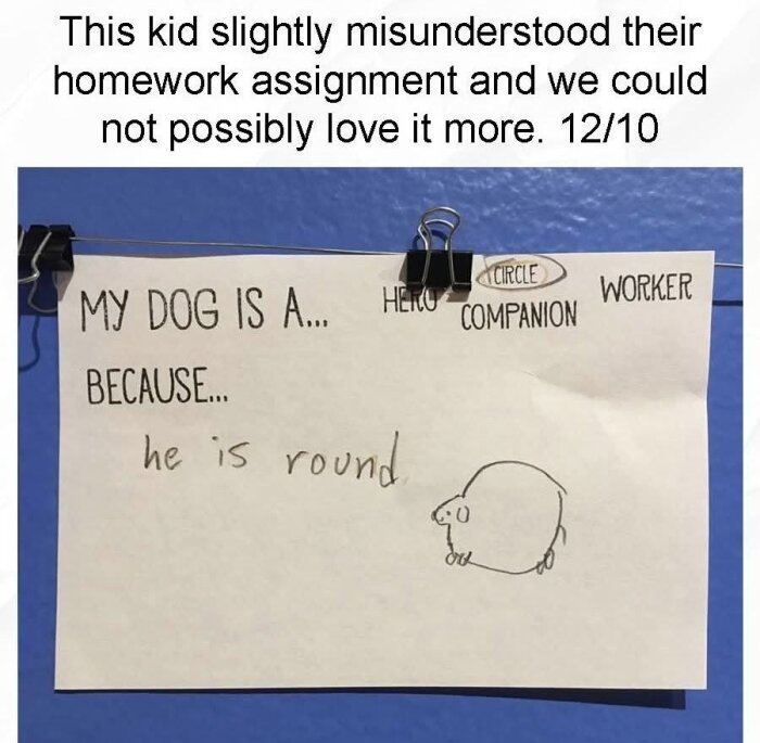 DogRound.jpg