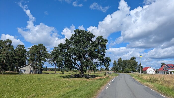 Lantlig väg med träd och hus i bakgrunden under en blå himmel med moln.