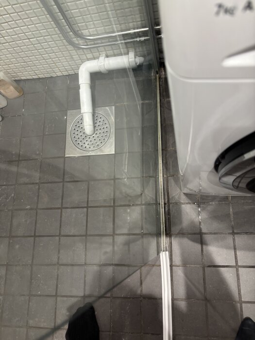 IMG_0752.jpeg