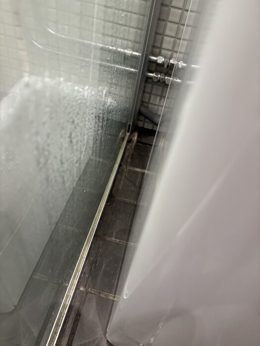 IMG_0753.jpeg