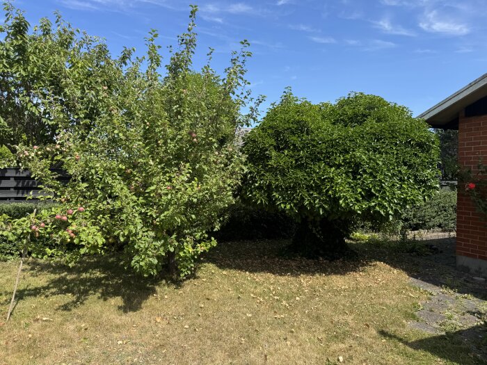 IMG_7708.jpeg