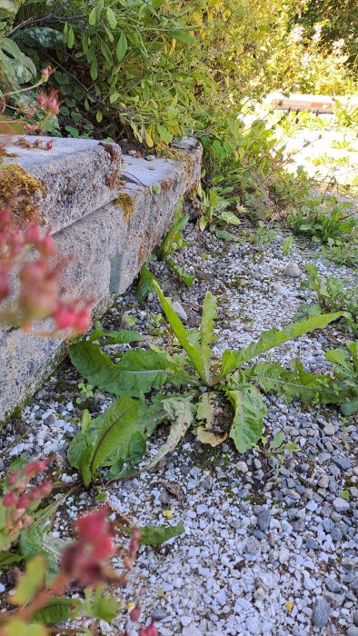 20260728_110546.jpg