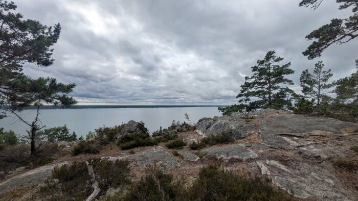 Utsikt över en sjö från en klippa med träd och buskar i förgrunden under en mulen himmel.