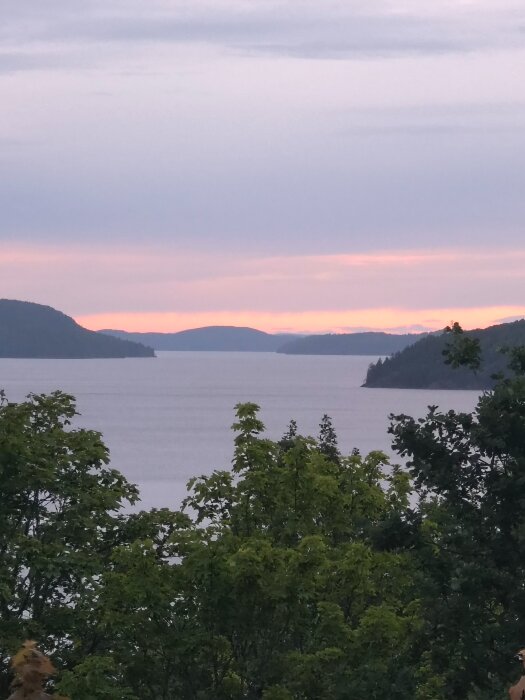 Solnedgång över en sjö med skogsklädda kullar i bakgrunden och träd i förgrunden.