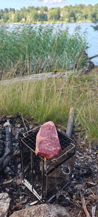 En köttbit grillas över en bärbar grill vid en sjöstrand, omgiven av gräs och träd i bakgrunden.