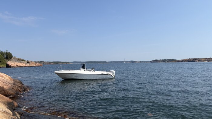IMG_1543.jpeg
