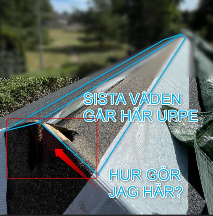 tak1.png