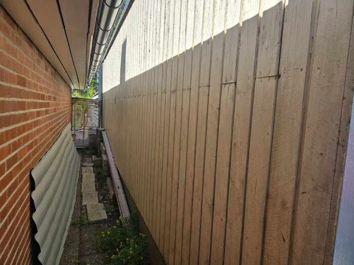20260731_124403.jpg