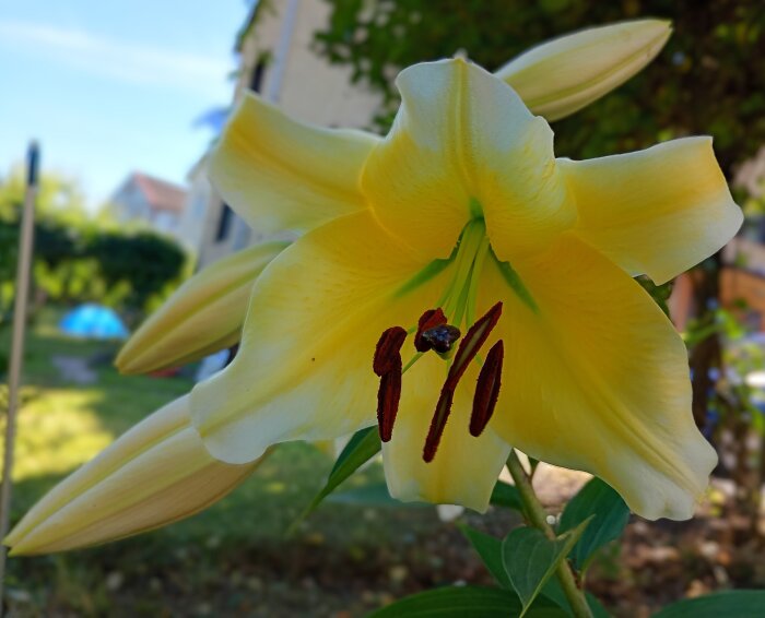 IMG_20260731_124600_HDR~2.jpg