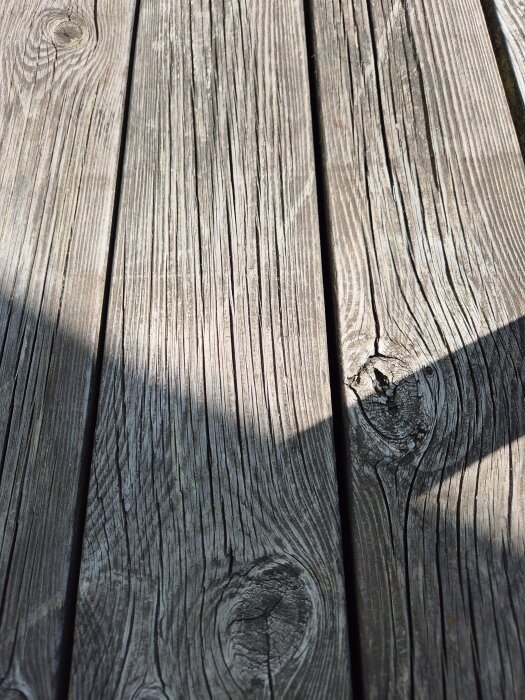 20260730_115112.jpg