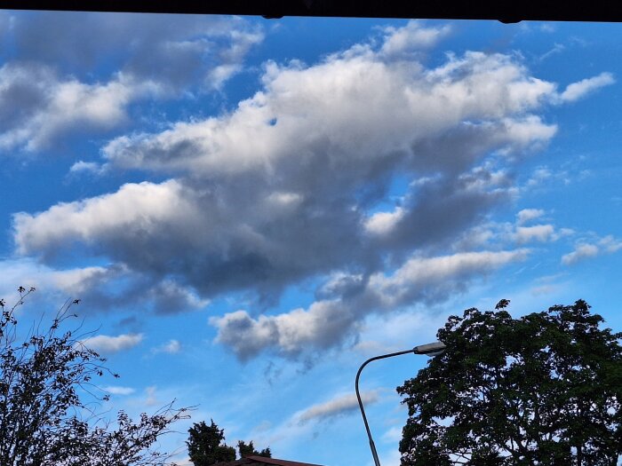 Molnig himmel med ett par trädtoppar och en gatlykta i förgrunden.