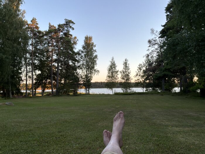 IMG_0034.jpeg