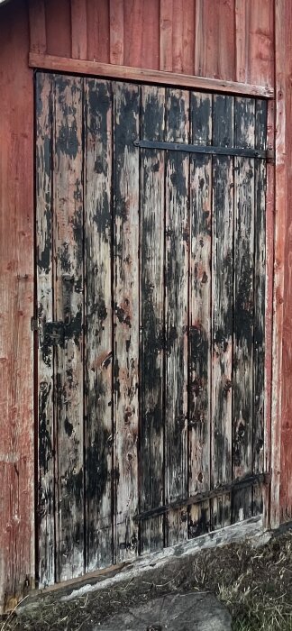 IMG_7100.jpeg