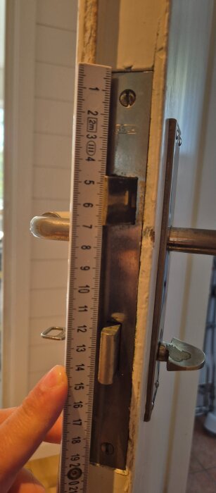 20260803_135524.jpg